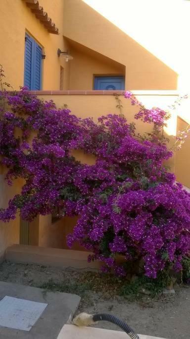 Casa Sa Ide Villa Torre dei Corsari Kültér fotó